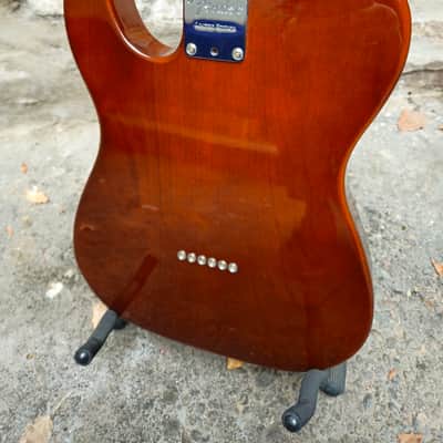 Fender Limited Edition Malaysian Blackwood Telecaster 2017 - Malaysian Blackwood image 3