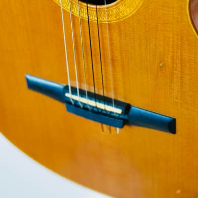 Rare Taylor NS52ce (2003) – Jason Mraz Spec – USA Made – Fishman image 11