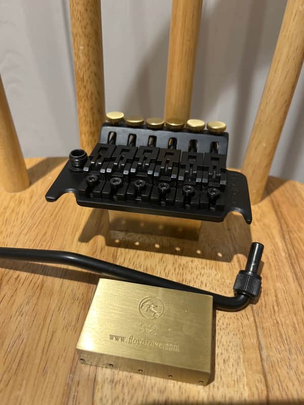 Floyd Rose  OEM 1000 Series image 1