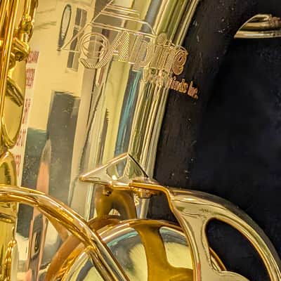 Alpine Woodwinds AAS143 2010's Alto Saxophone with Case - Gold image 15