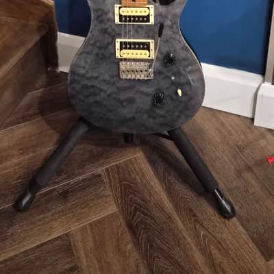 PRS SE Ltd Edition Custom 24 - Grey Black image 1