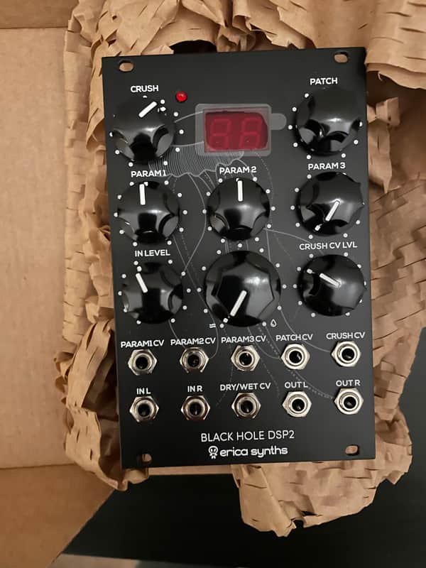 Erica Synths Black Hole DSP 2
