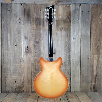 Eko Barracuda 290 1963 Excellent w/ Ibanez Hard Case - Amber Sunburst image 4
