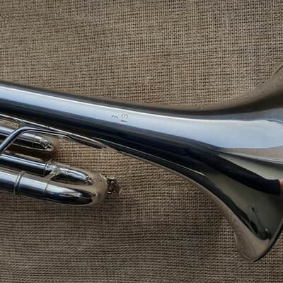 D. Calicchio DT-S1s/3M Dave TRIGG Model | Gamonbrass trumpet image 10