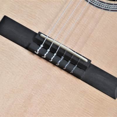 Martin Custom Shop 0 -12 Fret Indian Nylon 2014 Natural Satin back and sides, gloss top image 4