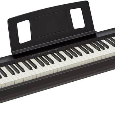 Roland FP-10 88-Key Digital Portable Piano  - Black image 2