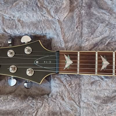 Schecter C-1 Plus 2006 image 3