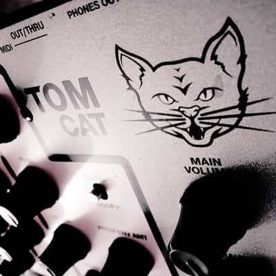 MUST SEE!!! AKAI TOM CAT ANALOG DRUM MACHINCE SEQUENCER IN AMAZING CONDITION! image 10
