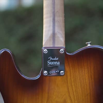 Fender Limited Edition Suona Telecaster® Thinline - Violin Burst image 12