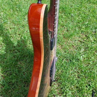 PRS Paul's Guitar Private Stock #9268 CITES image 16