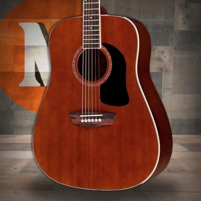 Washburn WD100DL Dreadnought Mahogany Acoustic Guitar w/ Gigbag (WD100DLTWRK-A-U) image 1