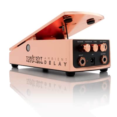 Ernie Ball Expression Series Ambient Delay Pedal Bild 1