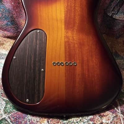 Custom Guitar AS 3D 100 Pavel made 2019 Burst 2019 Tobacco Burst with Altered States Body/Bridge image 4