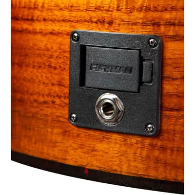 Breedlove Pursuit Exotic S Concert Acoustic-Electric Guitar, Edgeburst Koa image 13