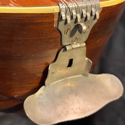 Bruno Bowlback Mandolin - Brazilian RW & Birds Eye Maple - Early 1900s - Great Player - All Org. - Case - Ships FREE!!! image 18