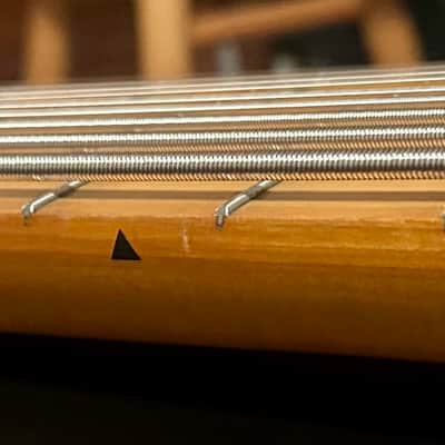 Langlois 8 String Extended-Range Bass - Unique, with Flight Case!! image 14