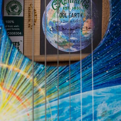 Martin 00L Earth Sitka Spruce and Sapele NEW image 18