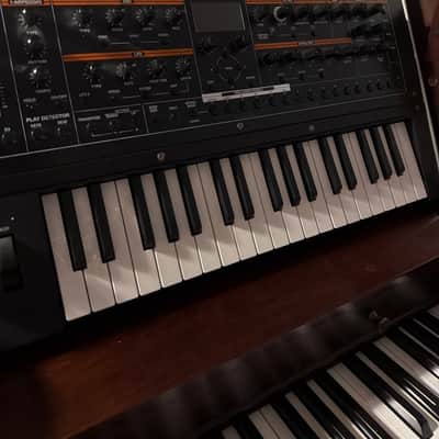 Roland Jupiter-Xm 37-Key Synthesizer 2019 - Present - Black image 2