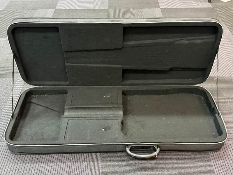 Road Runner Strat/Tele Semi-Hard Case, Recent