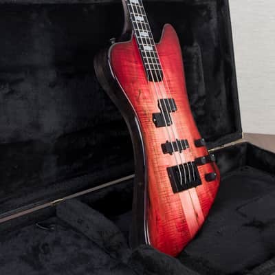 Spector USA Custom NS-2X Bass Guitar - Fire Blackburst image 9