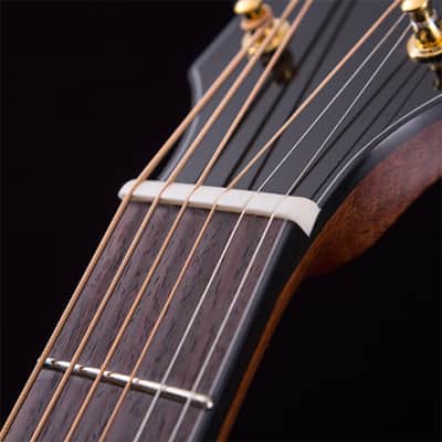 Cort Gold-A6 w/Gigbag (B Stock) image 6