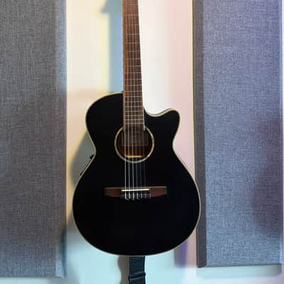 IBANEZ AEG10 (AEG10E, AEG10II) acoustic guitars