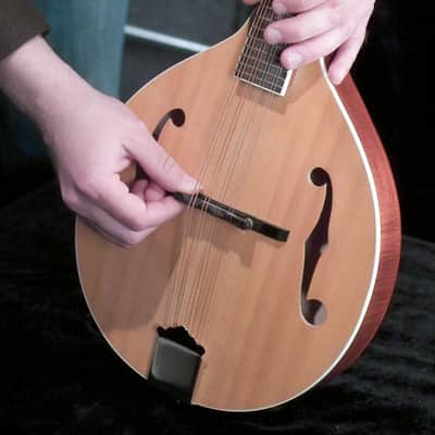 Saga AM-10 A-Model Mandolin Kit image 5