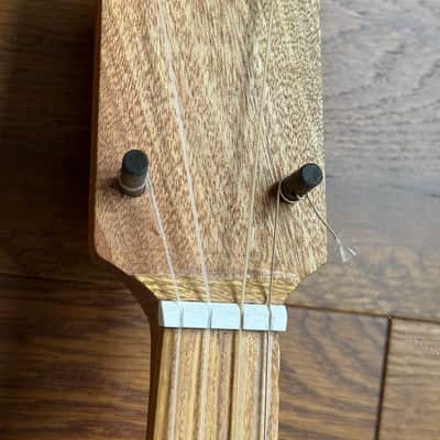 Barry Banjo #503 Left -Handed fretless Gourdie 5 string 2026 - Mahogany neck with oil finish image 4
