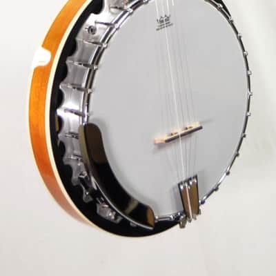 Washburn B10-A 5 String Banjo 2021 image 9