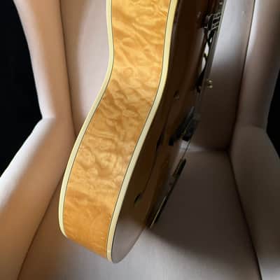 Mark Campellone Special 17" Archtop DeArmond Rhythm Chief 1100 image 14