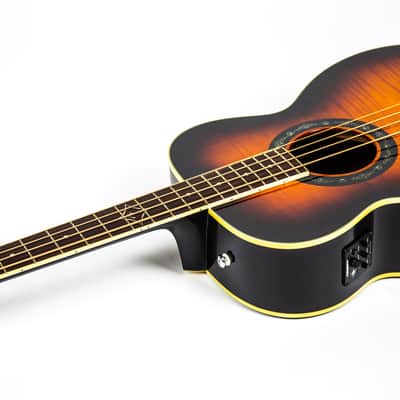 Fender T-Bucket Acoustic Bass E Owned by Matt Freeman Of Rancid image 12
