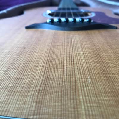 Taylor GS Mini Rosewood Limited 2012 image 7