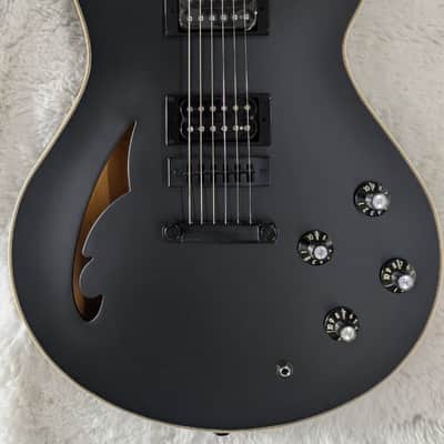 EVH SA-126 Special Stealth Black Wolfgang Model Electric Guitar W/Hard Case image 1