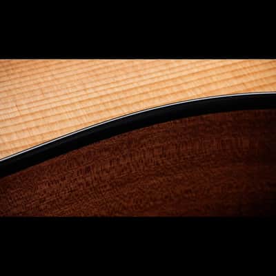 Taylor 150ce Bajo Quinto 10-String Acoustic Electric Guitar with Gig Bag image 10
