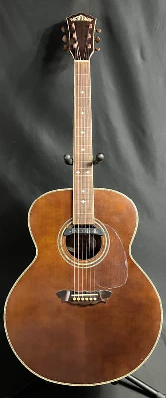 Washburn WJ130EK Vintage Series Jumbo Acoustic Guitar w/ K&K Pickup and Case image 1