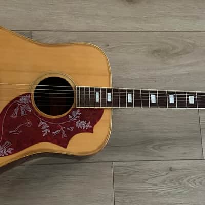 Tokai Hummingbird W-200 Custom 70s - Natural | Reverb