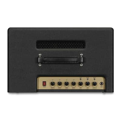 Friedman Runt 20 1x12 Combo image 3