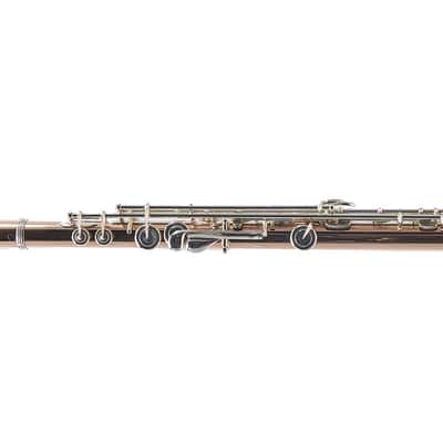 William S. Haynes Custom 14K Gold Flute with Gold Toneholes, Offset G, C# Trill image 12