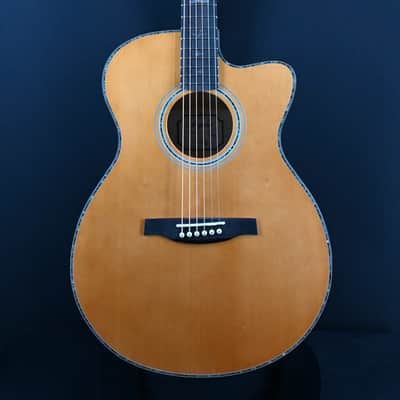 PRS SE Angelus A50E Black Gold #456 image 2