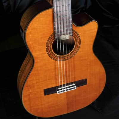 Used Alvarez Artist Series AC60S Nylon Acoustic Guitar image 6