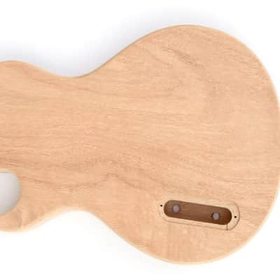DIY Electric Guitar Kit Singlecut Mini P90 Build Your Own Guitar Kit image 3