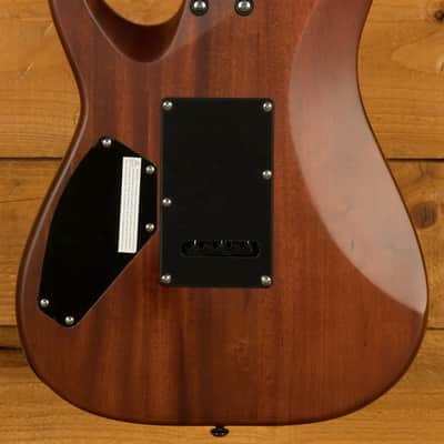 Schecter C-1 Exotic Spalted Maple - Satin Natural Vintage Burst image 4