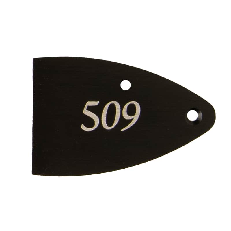 PRS Core / CE / S2 Etched Truss Rod Cover image 5