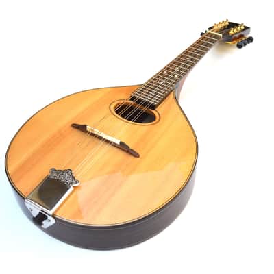 Early Model Trinity College TM-450 Celtic Mandolin image 3