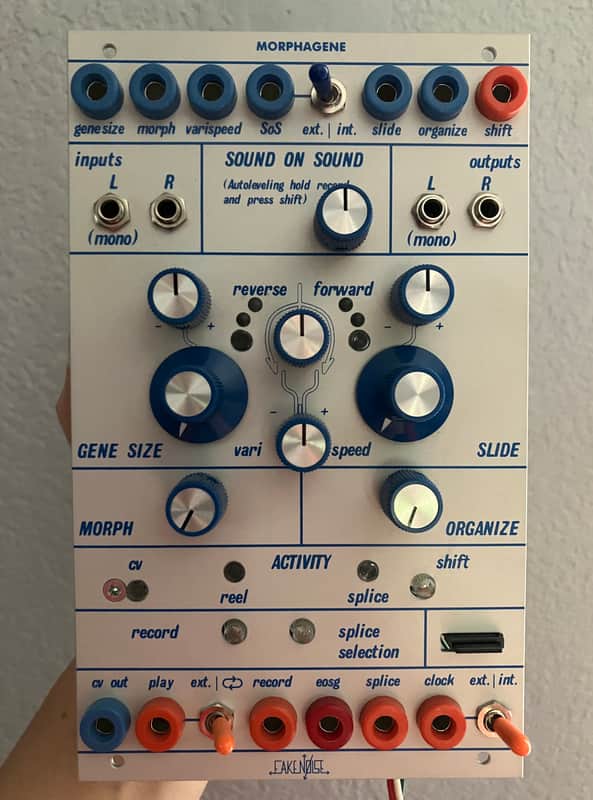 Fake Noise - Morphagene for Buchla - BORPH image 1