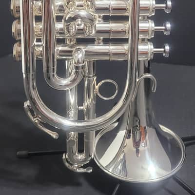 Getzen Eterna PRO Eterna 800S Silver L B Cornet, M/P 's and hardcase  Case  Silver Plate image 1