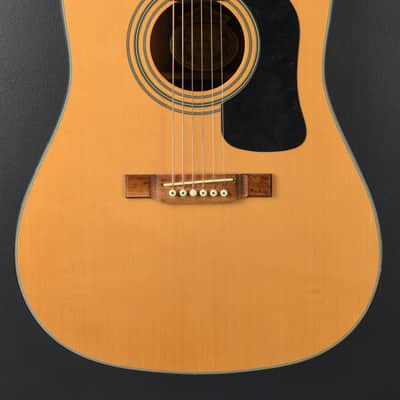 Washburn D-10 '98 image 2