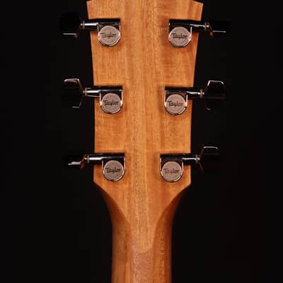 Taylor 214ce Plus, Natural image 10