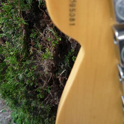 1995 NEW Fender American Standard Stratocaster with Matching Headstock, Rosewood Fretboard 1995 - Burgundy Mist image 8