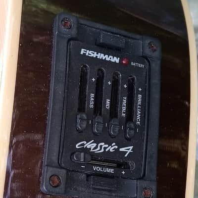 Rogue Acoustic/ Electric image 4